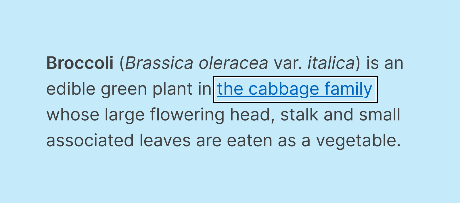 Two rings identifying a focused link in a sentence. The outer ring is black and the inner ring is white. The background is a light blue color, making the white outline difficult to see. The link reads, “the cabbage family”, and the full sentence reads, “Broccoli (Brassica oleracea var. italica) is an edible green plant in the cabbage family whose large flowering head, stalk and small associated leaves are eaten as a vegetable.”