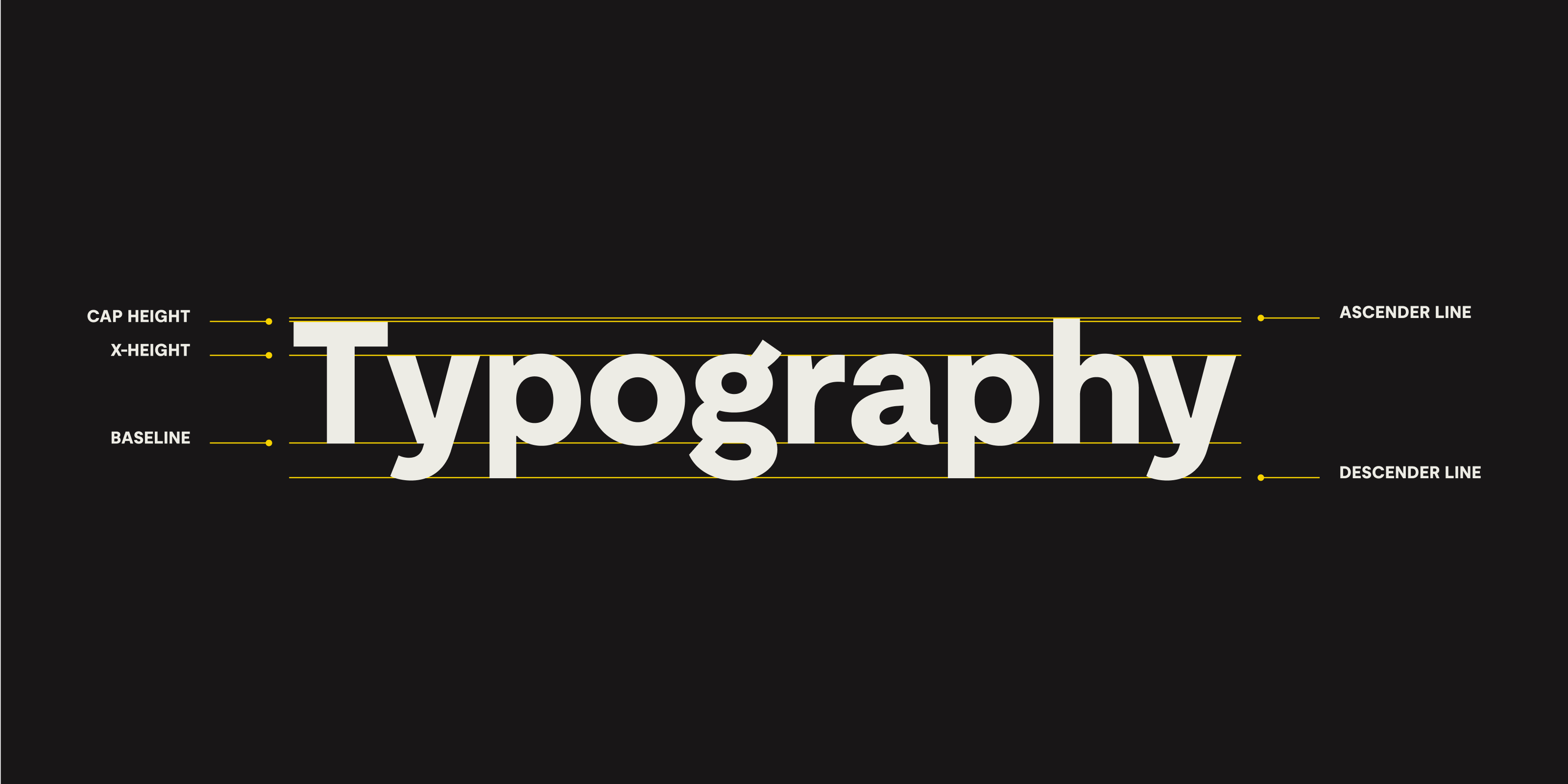 The word ‘Typography’ set in large bold type, with lines showing the baseline, x-height, cap height, ascender line and descender line