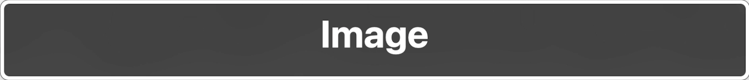 “Image” section of the VoiceOver Rotor feature showing nothing but the heading.